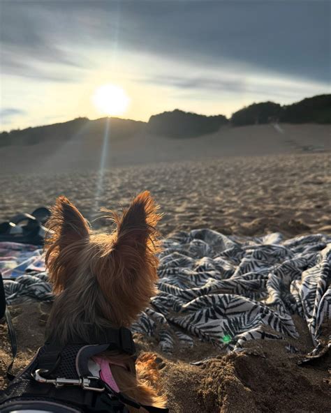 𝑃𝑟𝑖𝑛𝑐𝑒𝑠𝑠 𝐶ℎ𝑙𝑜𝑒🤍 (@theprincesschloe_) • Instagram photos and videos