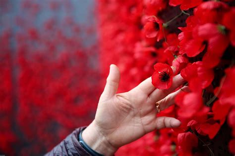 Reflections on Memorial Day 2021 › American Greatness