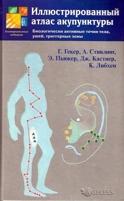 Триггерные Точки Клэр Дэвис - gogreeninstall