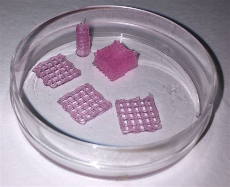 Bioprinting: 3D Printed Cell Constructs - 3D@UniPV
