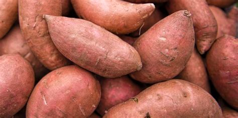 Sweet Potato: Facts, Nutrition, Benefits and More - HealthNormal