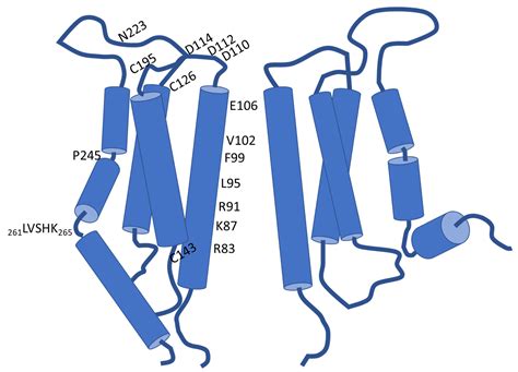 Cristine Reyes Wardrobe Malfunction
