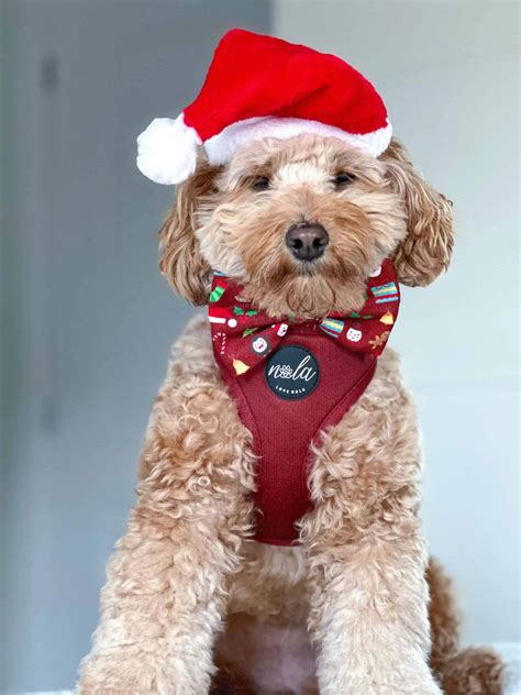 Jewels Collection - Ruby Reimagined Christmas Bow | Love Nala