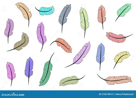 Line Feather. Hand Drawn Feathers. Feathers Isolated On White ...