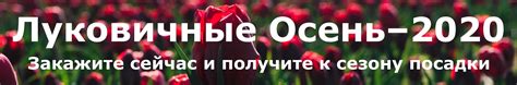 Подворье - садовый центр в Москве - интернет-магазин растений