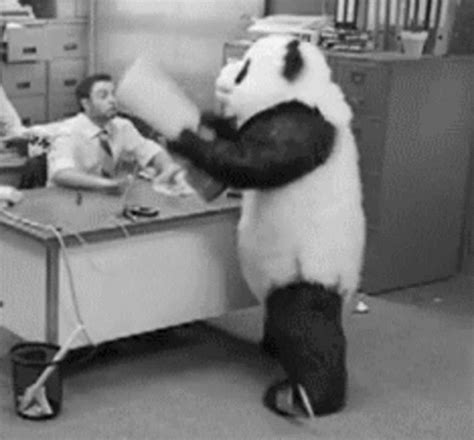 Angry Panda Smash GIF - AngryPanda Smash Pc - Discover & Share GIFs