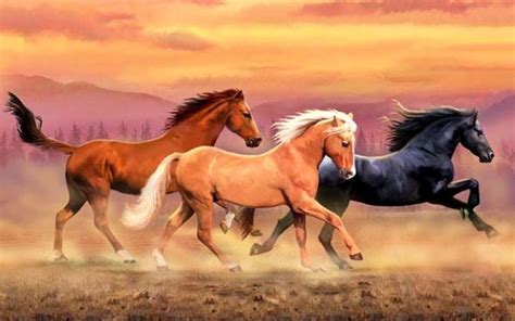 Australian Stock Horse Wallpapers - Wallpaper Cave