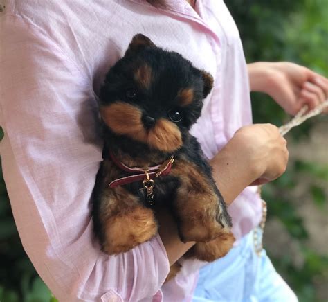 Realistic Yorkshire Terrier Stuffed Animal