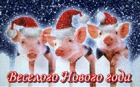 Год свиньи! Год кабана 2019! С новым годом 2019! Открытки, картинки на ...