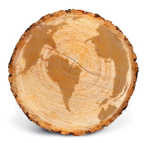 final coat  world   message