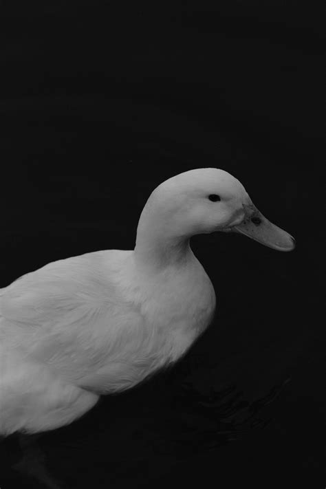 Teen+Girl+Legs+Spread+Up+Shorts Photos, Download The BEST Free Teen