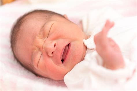 bayi tidak  menyusu susu bayi   penyebabnya