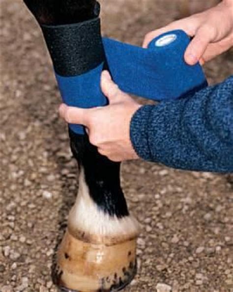 Horse Wear Sporting Goods GENUINE 3M VETRAP HORSE COHESIVE VETERINARY ...