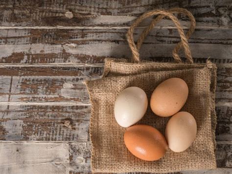 How Often Do Chickens Really Lay Eggs?