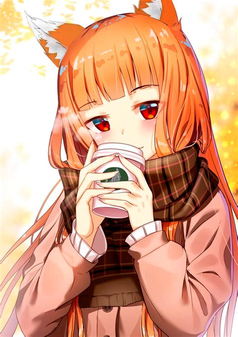 holo rholo