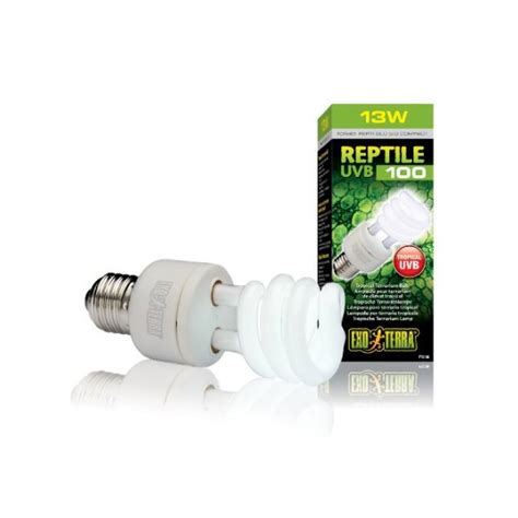 Terrarium Beleuchtung - Leuchtsysteme & Lampen für Terrarien