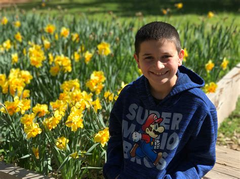 McLaughlin's Daffodil Hill In Volcano, California (Free Admission, Parking)