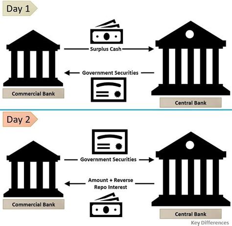 Difference Between Repo Rate and Reverse Repo Rate (with Examples ...