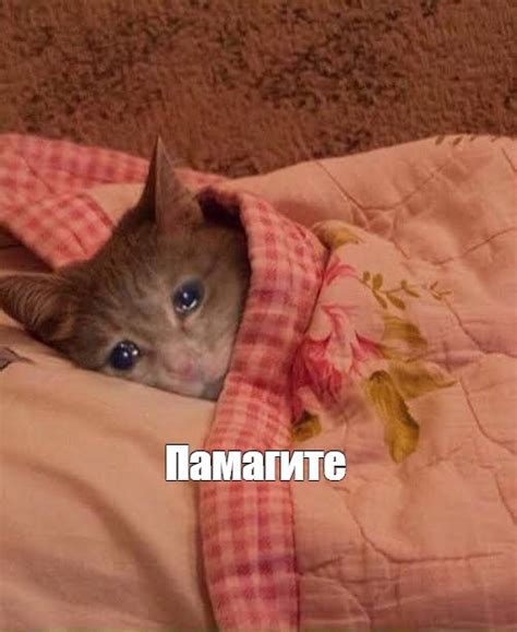 Мем: "Памагите" - Все шаблоны - Meme-arsenal.com