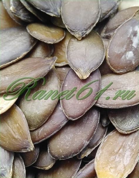 Семечки тыквенные очищенные (1кг)
