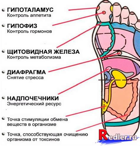 Точечный массаж в картинках. Сохраните себе....