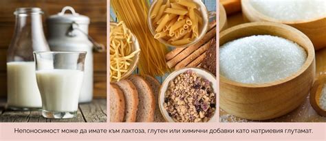 Тест за хранителна непоносимост | Какво е?
