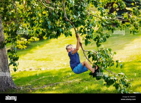 swinging  tree  res stock photography  images alamy