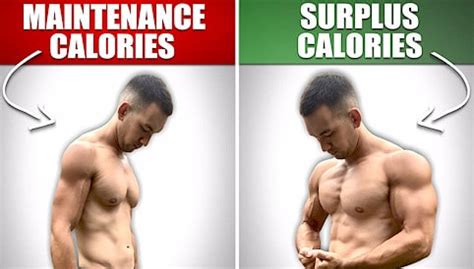maingaining  bulking     muscle growth