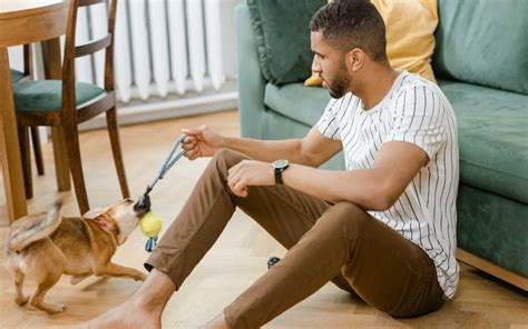 how can i get my dog to play with toys