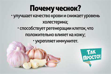 Чеснок с мёдом: преимущества, рецепт, как принимать
