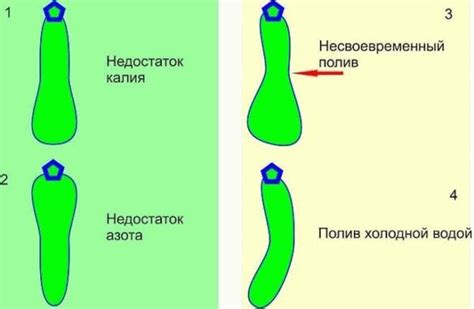 Калийные удобрения для огурцов (названия): применения сульфата калия в ...