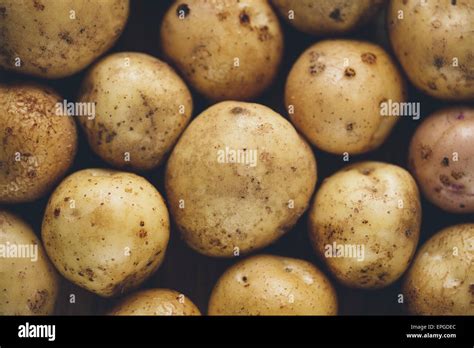 Fresh potato tubers Stock Photo - Alamy