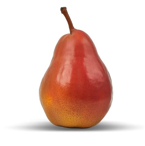 Pear Fruit Cutout Png Free Stock Photo - Public Domain Pictures