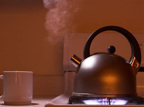 Способы и средства для удаления накипи в чайнике | Kitchen safety, Home ...