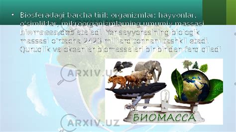 Biosfera biomassasi. 11 - sinf - Биология - Учебники (по школьные предметы)