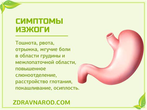 Как можно вылечить изжогу травяными настоями.