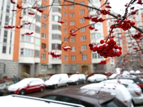 Погода в Москве на неделю: Гисметео не торопится с обещанием прояснения ...