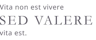 Sed Valere - Mediation und Kommunikation
