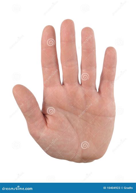 Paume de main image stock. Image du ecran, isolement - 10404923