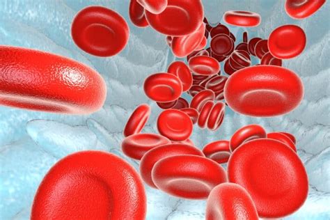 MCV Levels and Genetics: What You Need to Know - LifeDNA