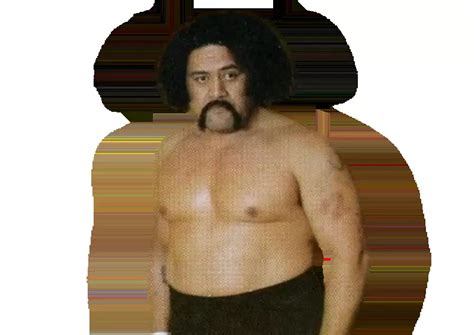 afa profile career stats faceheel turns titles won gimmicks