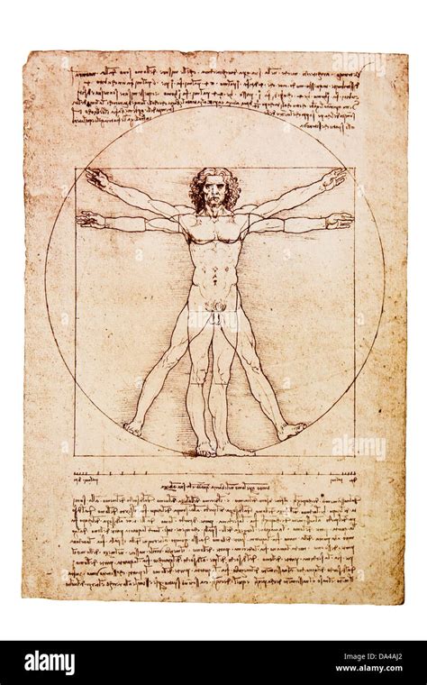 Leonardo Da Vinci Anatomical Man - Vitruvian man anatomy hi-res stock photography and images - Alamy