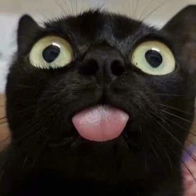 xxxxxx atchawucire posts