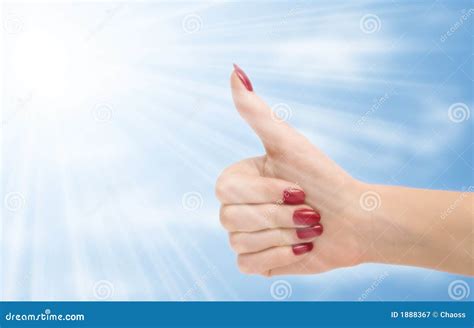 Excellent stock image. Image of beautiful, good, bright - 1888367