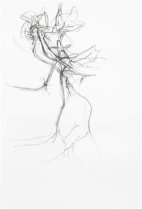 Carolyn Martin Model