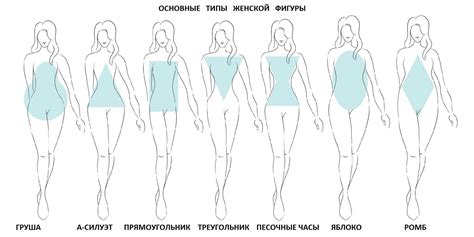 Типы женских фигур - описания, примеры и фото