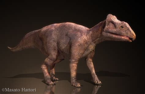 Yinlong Pictures & Facts - The Dinosaur Database