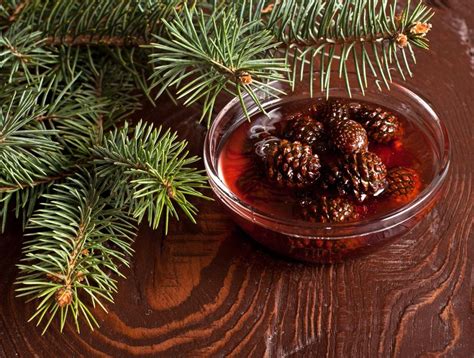 Варенье из сосновых шишек | Food, Peppercorn, Red peppercorn