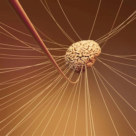 Acupuncture and the Autonomic Nervous System: Why It’s More Than Just