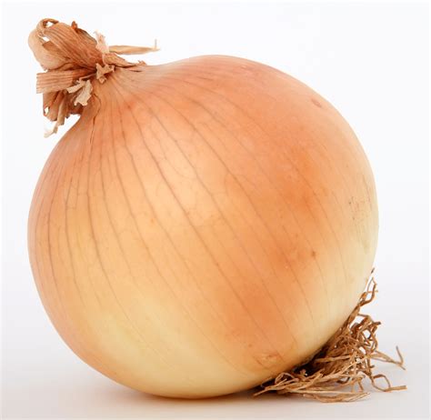 Onion Replica | Pikmin | FANDOM powered by Wikia